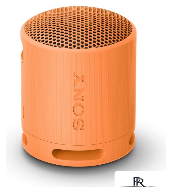 Беспроводная колонка Sony XB100 (оранжевый) - Изображение №1 — Интернет-магазин ПроЗаказ