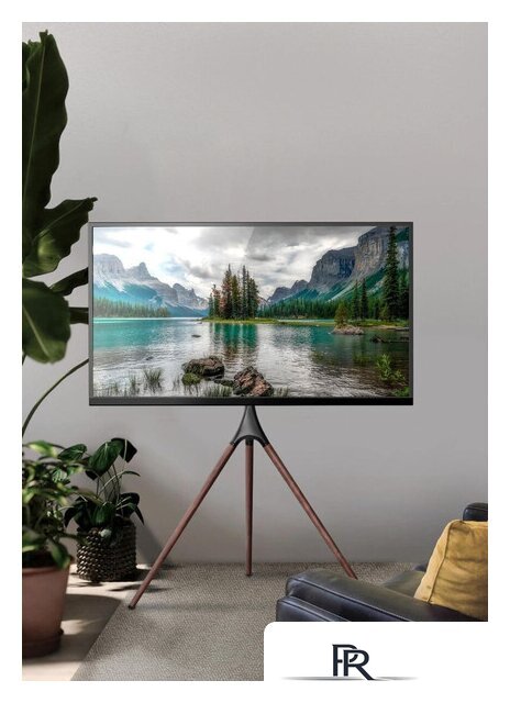 Стойка для телевизора CACTUS CS-ST1246BKWN - Изображение №11 — Интернет-магазин ПроЗаказ