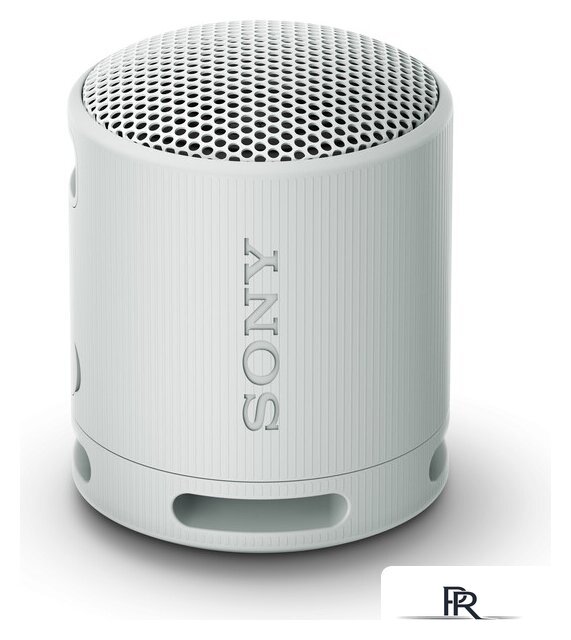 Беспроводная колонка Sony XB100 (светло-серый) - Изображение №1 — Интернет-магазин ПроЗаказ