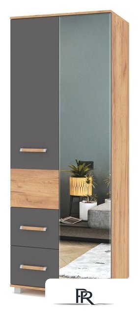 Шкаф распашной Modern Виора В24 (золотой дуб/графит) - Изображение №1 — Интернет-магазин ПроЗаказ