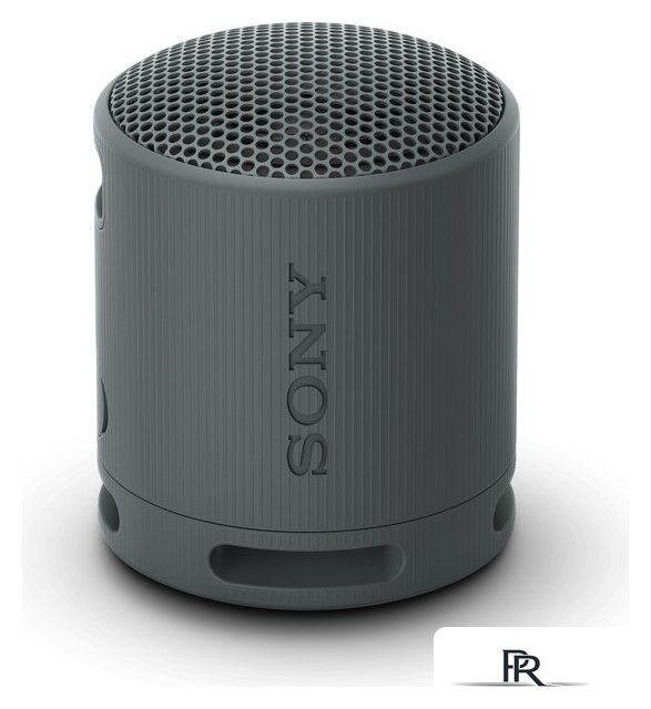 Беспроводная колонка Sony XB100 (черный) - Изображение №1 — Интернет-магазин ПроЗаказ
