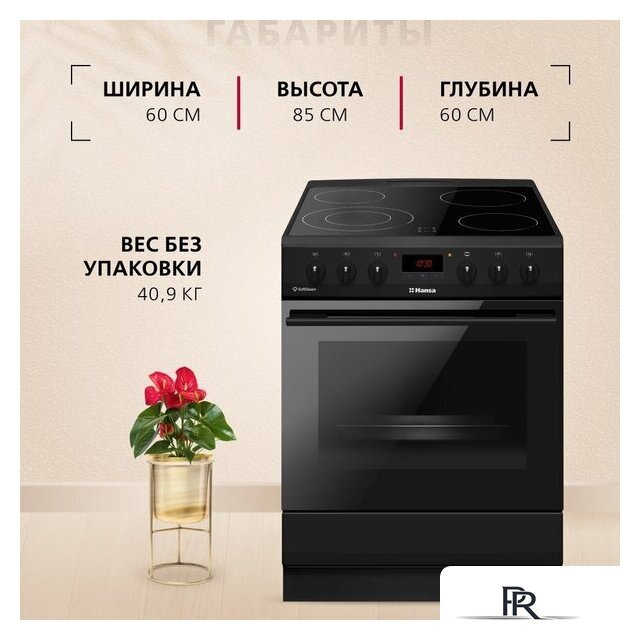 Кухонная плита Hansa FCCM69225H - Изображение №12 — Интернет-магазин ПроЗаказ