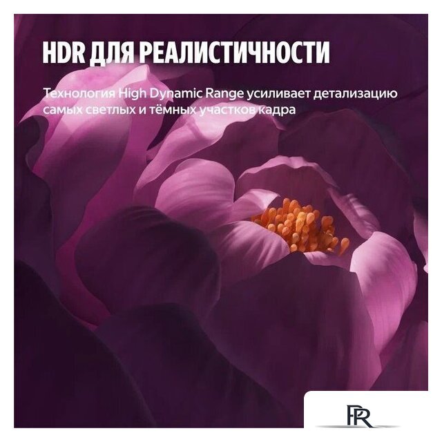 Телевизор Яндекс ТВ Станция Бейсик QLED с Алисой 65 - Изображение №12 — Интернет-магазин ПроЗаказ