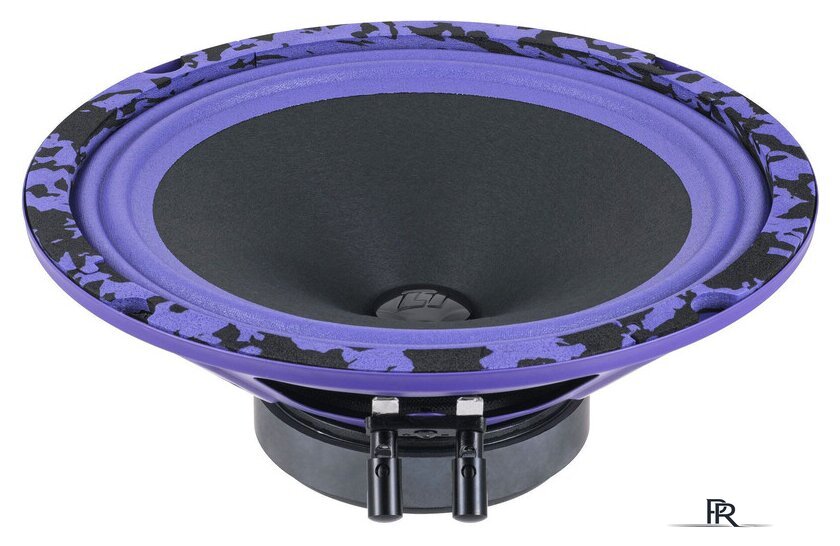 Среднечастотная АС DL Audio Piranha 200 V.2 - Изображение №2 — Интернет-магазин ПроЗаказ