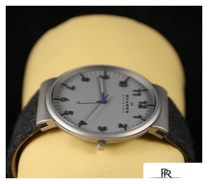 Наручные часы Skagen SKW6097 - Изображение №18 — Интернет-магазин ПроЗаказ