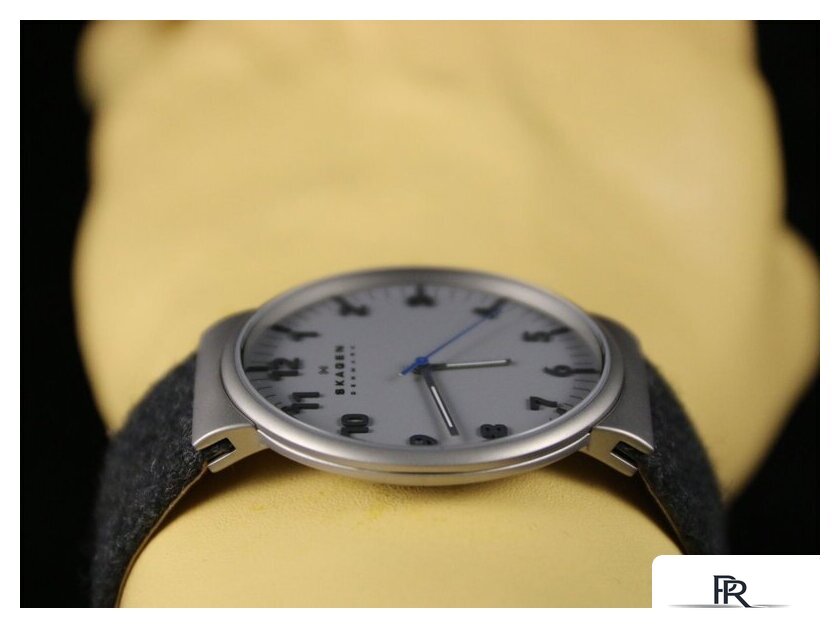 Наручные часы Skagen SKW6097 - Изображение №17 — Интернет-магазин ПроЗаказ