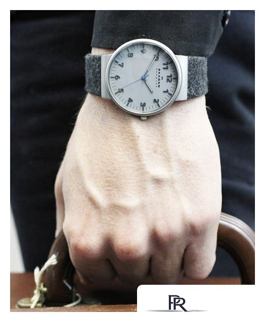 Наручные часы Skagen SKW6097 - Изображение №13 — Интернет-магазин ПроЗаказ