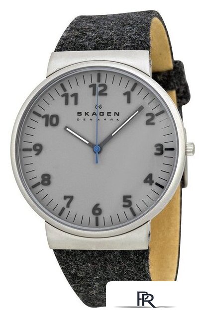 Наручные часы Skagen SKW6097 - Изображение №1 — Интернет-магазин ПроЗаказ