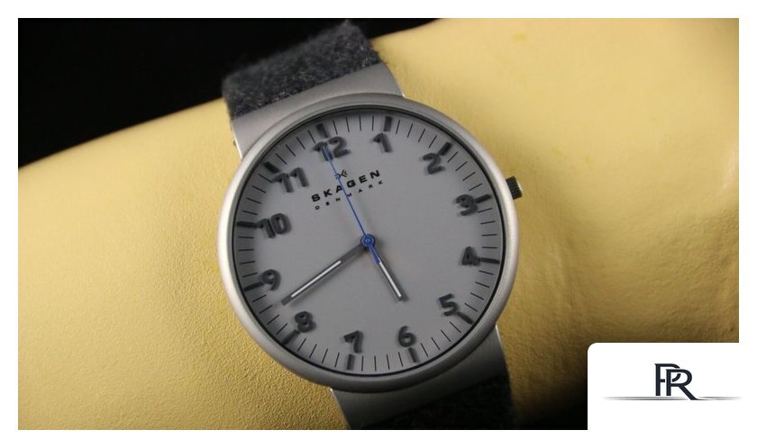 Наручные часы Skagen SKW6097 - Изображение №16 — Интернет-магазин ПроЗаказ