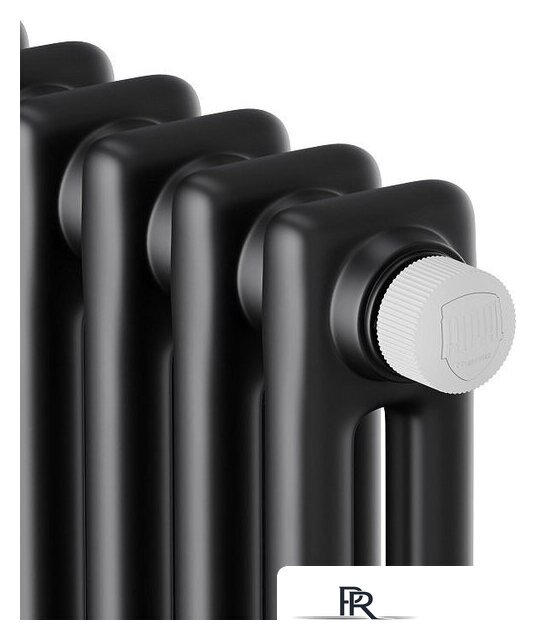 Стальной трубчатый радиатор Royal Thermo Insignia VC2180 - 12 секций RAL9005m - Изображение №3 — Интернет-магазин ПроЗаказ