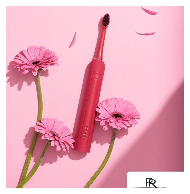 Электрическая зубная щетка Seysso Color Basic Pink Paradise - Изображение №2 — Интернет-магазин ПроЗаказ