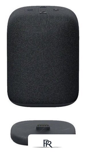 Беспроводная колонка Sony LinkBuds SRS-LS1 (черный) - Изображение №2 — Интернет-магазин ПроЗаказ