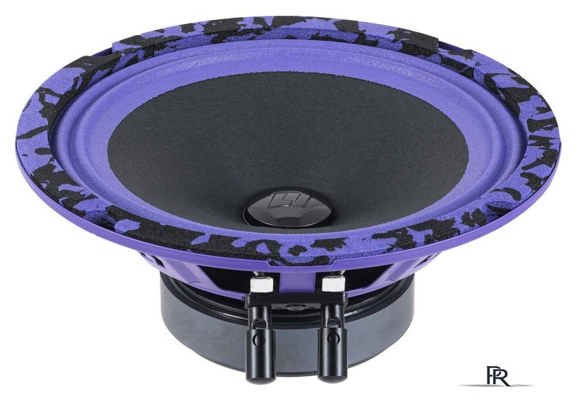 Среднечастотная АС DL Audio Piranha 165 V.2 - Изображение №2 — Интернет-магазин ПроЗаказ