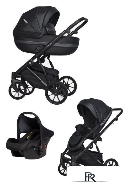 Универсальная коляска Riko Basic Delta Ecco (3 в 1, 15/black) - Изображение №1 — Интернет-магазин ПроЗаказ
