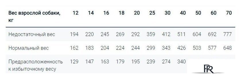 Сухой корм для собак Monge BWild Grain Free Adult Lamb (12 кг) - Изображение №2 — Интернет-магазин ПроЗаказ