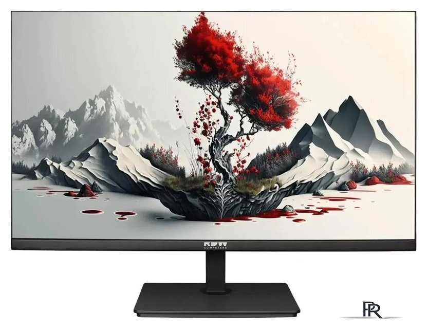 Монитор RDW Computers 2401K/F00В3100V2A1H - Изображение №1 — Интернет-магазин ПроЗаказ