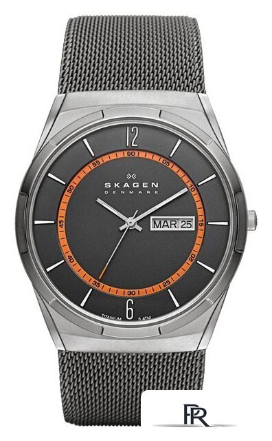 Наручные часы Skagen SKW6007 - Изображение №1 — Интернет-магазин ПроЗаказ