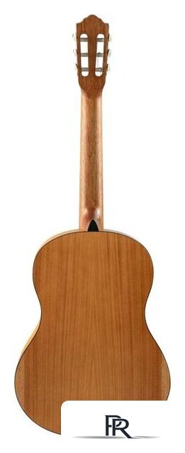 Акустическая гитара Flight C-100 NA 4/4 - Изображение №3 — Интернет-магазин ПроЗаказ