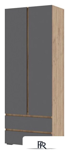 Шкаф распашной Стендмебель Хелен ШК 01 2-х створчатый (серый графит 0162/дуб крафт золотой) - Изображение №1 — Интернет-магазин ПроЗаказ