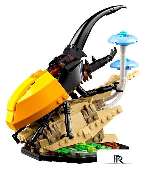 Конструктор LEGO Ideas 21342 Коллекция насекомых - Изображение №4 — Интернет-магазин ПроЗаказ