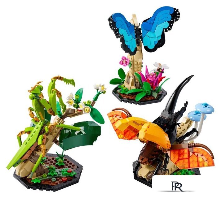 Конструктор LEGO Ideas 21342 Коллекция насекомых - Изображение №7 — Интернет-магазин ПроЗаказ