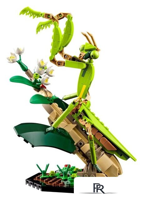 Конструктор LEGO Ideas 21342 Коллекция насекомых - Изображение №3 — Интернет-магазин ПроЗаказ