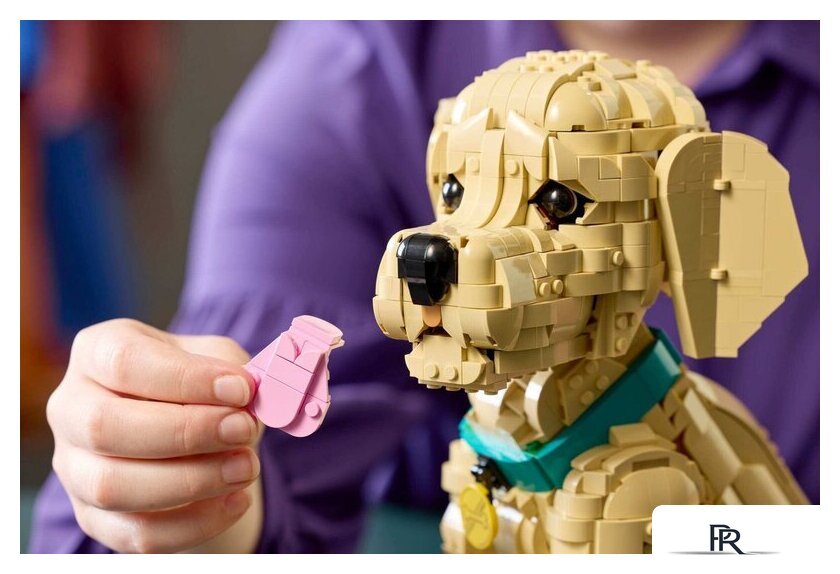 Конструктор LEGO Icons 11384 Щенок золотистого ретривера - Изображение №12 — Интернет-магазин ПроЗаказ