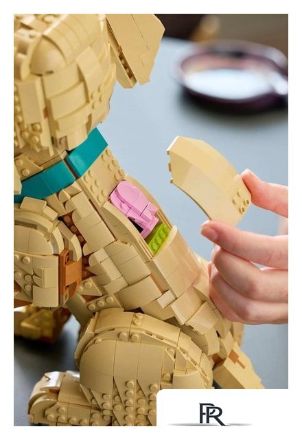 Конструктор LEGO Icons 11384 Щенок золотистого ретривера - Изображение №15 — Интернет-магазин ПроЗаказ