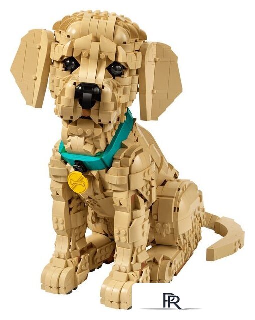 Конструктор LEGO Icons 11384 Щенок золотистого ретривера - Изображение №2 — Интернет-магазин ПроЗаказ