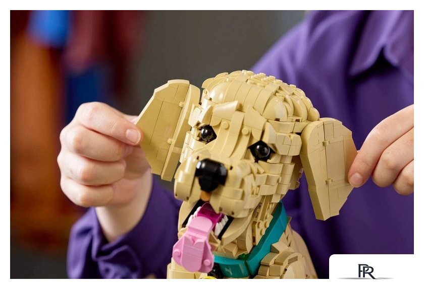Конструктор LEGO Icons 11384 Щенок золотистого ретривера - Изображение №14 — Интернет-магазин ПроЗаказ