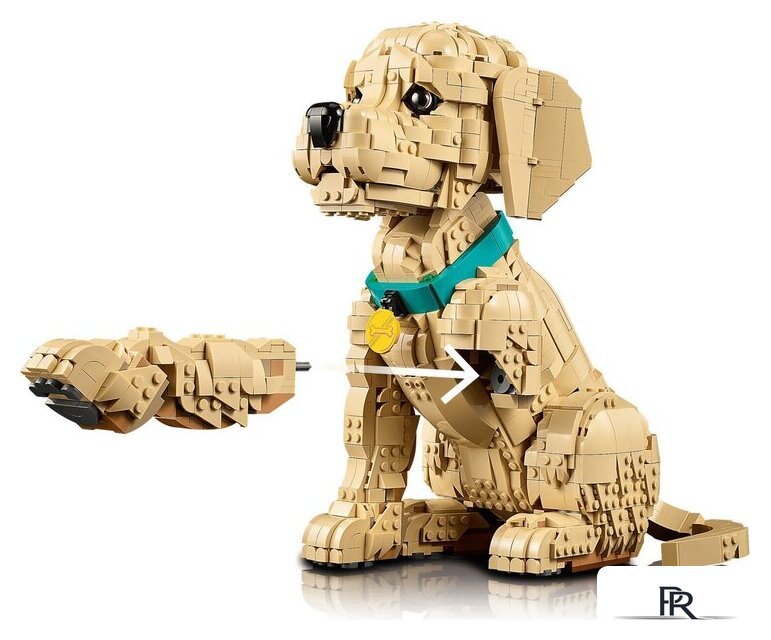 Конструктор LEGO Icons 11384 Щенок золотистого ретривера - Изображение №6 — Интернет-магазин ПроЗаказ