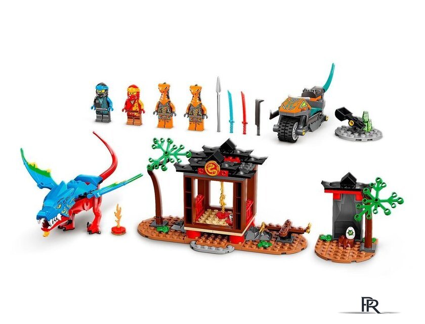 Конструктор LEGO Ninjago 71759 Драконий храм ниндзя - Изображение №7 — Интернет-магазин ПроЗаказ