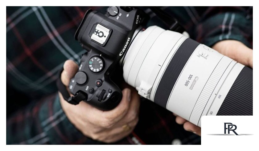 Объектив Canon RF 100-500mm f/4.5-7.1 L IS USM - Изображение №7 — Интернет-магазин ПроЗаказ