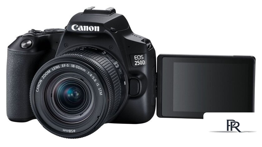 Зеркальный фотоаппарат Canon EOS 250D Kit 18-55 IS STM (черный) - Изображение №4 — Интернет-магазин ПроЗаказ