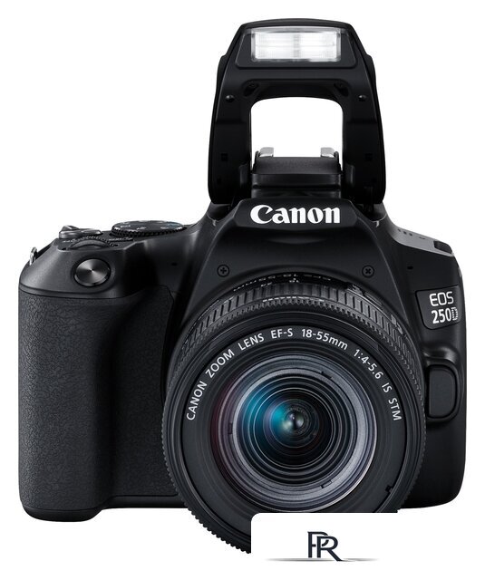 Зеркальный фотоаппарат Canon EOS 250D Kit 18-55 IS STM (черный) - Изображение №10 — Интернет-магазин ПроЗаказ