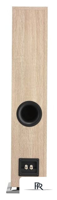 Напольная акустика DALI Oberon 5 Light Oak - Изображение №3 — Интернет-магазин ПроЗаказ