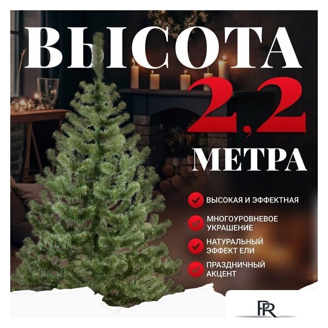 Пихта Erbis Jodla 220 - Изображение №2 — Интернет-магазин ПроЗаказ