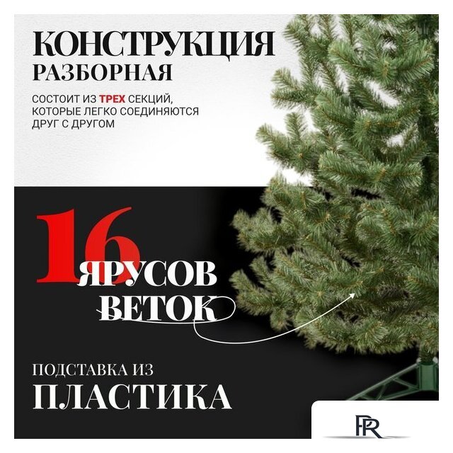 Пихта Erbis Jodla 220 - Изображение №4 — Интернет-магазин ПроЗаказ