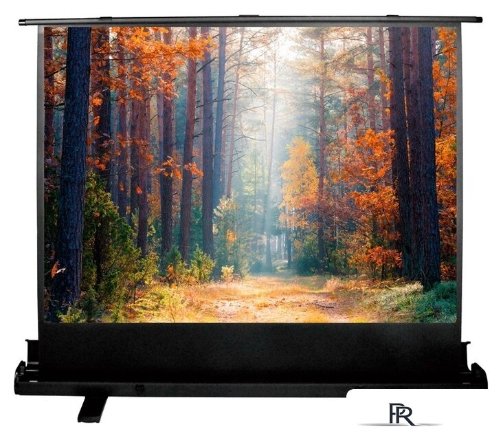 Проекционный экран CACTUS FloorExpert 90x160 CS-PSFLE-160X90 - Изображение №1 — Интернет-магазин ПроЗаказ