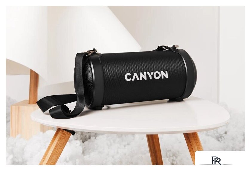 Беспроводная колонка Canyon BSP-7 - Изображение №9 — Интернет-магазин ПроЗаказ