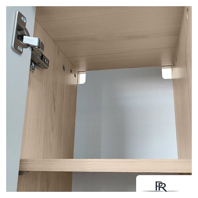 Шкаф распашной Аквилон Рэя №8.1 (туя светлый/кашемир) - Изображение №10 — Интернет-магазин ПроЗаказ