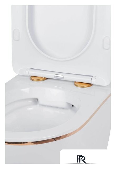 Унитаз подвесной Roxen Antares Gold в комплекте с инсталляцией StounFix Dual Fresh 6 в 1 968092 (кнопка: золото глянцевое ) - Изображение №8 — Интернет-магазин ПроЗаказ