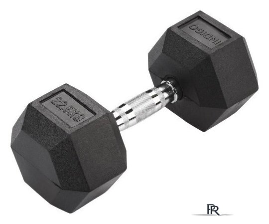 Гантель Indigo IN124 22.5 кг - Изображение №1 — Интернет-магазин ПроЗаказ