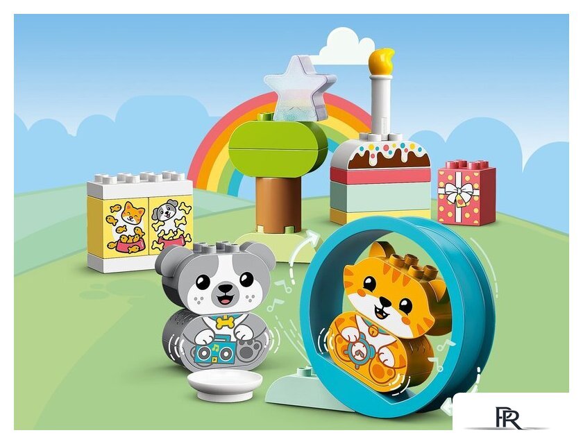 Конструктор LEGO Duplo 10977 Мой первый щенок и котёнок и их звуки - Изображение №8 — Интернет-магазин ПроЗаказ