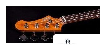 Бас-гитара JET JPB-300 SG R - Изображение №12 — Интернет-магазин ПроЗаказ