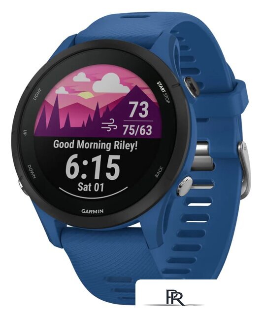 Умные часы Garmin Forerunner 255 (темно-синий/черный) - Изображение №1 — Интернет-магазин ПроЗаказ