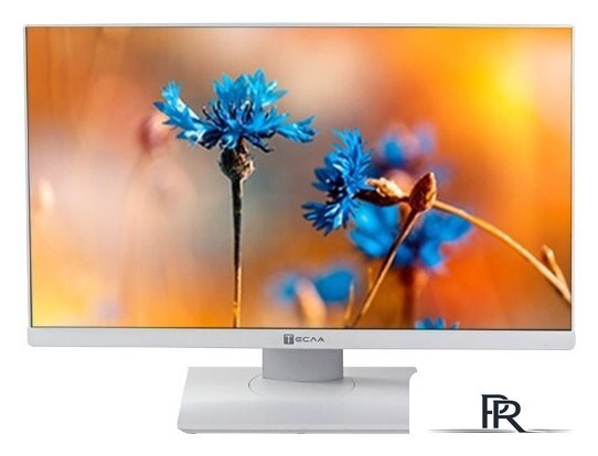 Моноблок ТЕСЛА P24WP 2416500 - Изображение №4 — Интернет-магазин ПроЗаказ