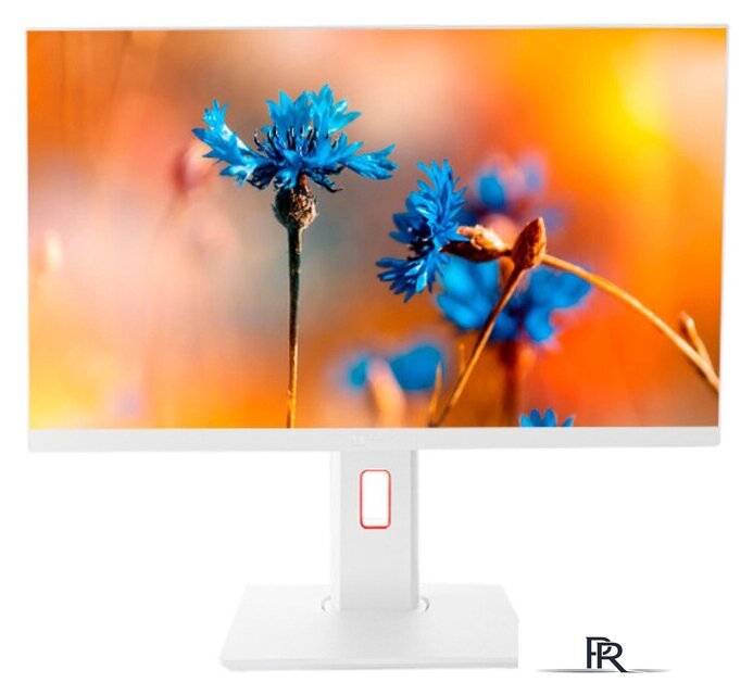 Моноблок ТЕСЛА P24WP 2416500 - Изображение №1 — Интернет-магазин ПроЗаказ