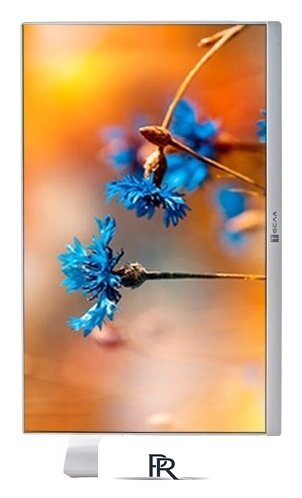 Моноблок ТЕСЛА P24WP 2416500 - Изображение №6 — Интернет-магазин ПроЗаказ