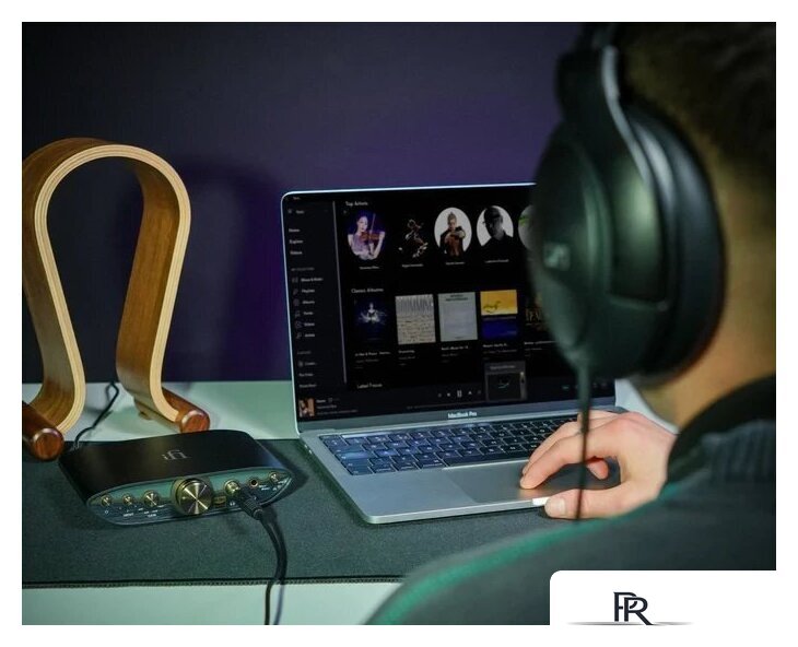 Настольный усилитель iFi audio Zen CAN 3 - Изображение №9 — Интернет-магазин ПроЗаказ